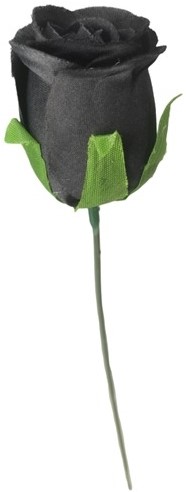 Actie BULK Roos Black, Zwart voor Corsage en Boeket op dr ZIJDE DOOS144 zwarte roos, zwarte rozen rozen