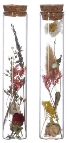 Reageerbuisjes glas 20cm. d.3cm. Met KURK doos 6st Pipet met kurk voor geschenken [ zijn LEEG!]