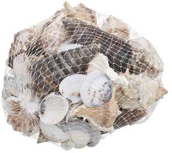 Schelp Schelpenmix 500 g net MIX-3 Mooie Schelpenmix 500 g