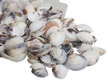 Karandai Chippy schelpen 1 kilo