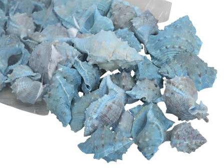 White Chimman schelpen blauw, 500 gram