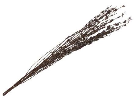 Knottgrass 90-100 cm naturel - Bundel van 100 Gram Voor Bloemstukken en Boeketbasis Superhandige basis voor bloemstukken en boeketten