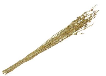 Knottgrass 90-100 cm Geel - Bundel van 100 Gram Voor Bloemstukken en Boeketbasis Superhandige basis voor bloemstukken en boeketten