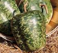 Speckled apple 