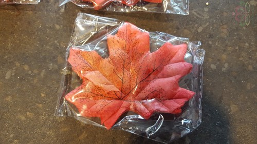 Blad zijde Herfstblad Oranjeroodrand C Blad zijde blaad