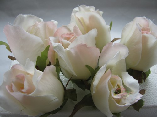 Roosjes 5-6cm. Zijde Best Quality Champagne-Roze 2tone 10 st Roos zijdebloem