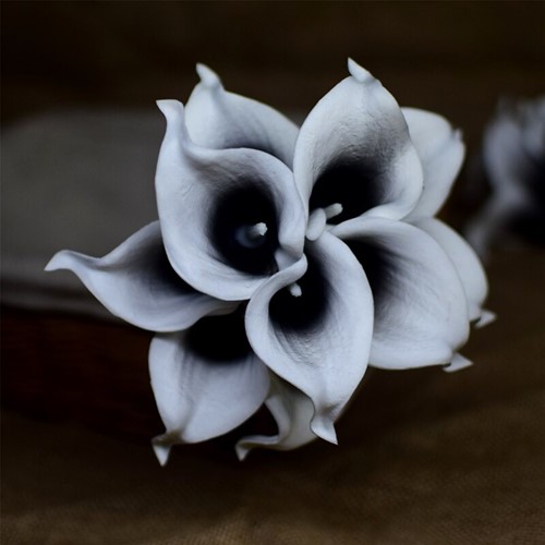 Calla Real Touch Wit Blackcenter +/- 7 cm. en 37cm lang. / st Calla Real Touch +/- 7 cm.