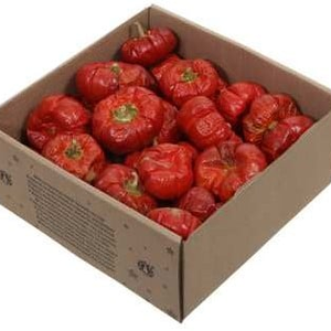Mini pompoentjes ca. 250 gram