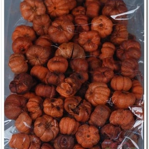 Putka Pods Terra ca. 40 gram kleinverpakking