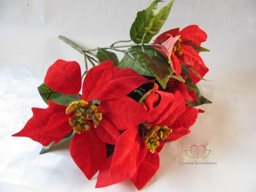 Kerstster Rood ca. 30cm Per stuk 