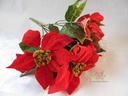 Kerstster Rood ca. 30cm Per stuk 