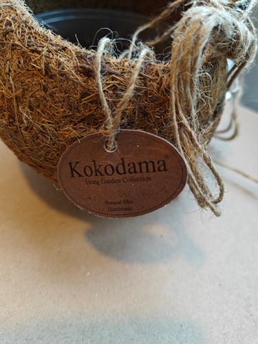 Kokodama Plantenhanger Cocodama Koko dama natuurproduct