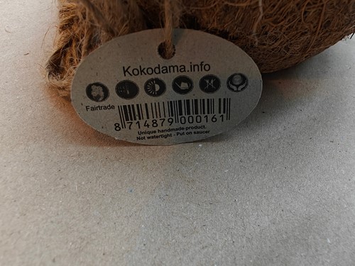 Kokodama Plantenhanger Cocodama Koko dama natuurproduct