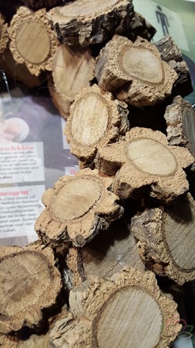 Kurkschijven Kleiner Cork Slices 4 cm 50 stuks 