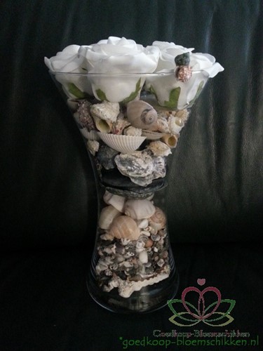 Landsnail small naturel 250 gram Landslak schelpen