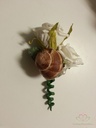 Landsnail small naturel 250 gram Landslak schelpen