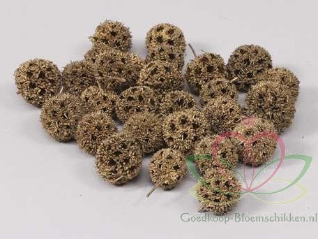 Liguid Ambar fruit 500gram Naturel 
