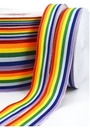 Lint regenboog 25mm dubbelzijdig kleurrijk regenboog / 5 meter voor bloemwerk of bruidsboeket