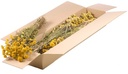 Lona yellow natural Lona yellow natural