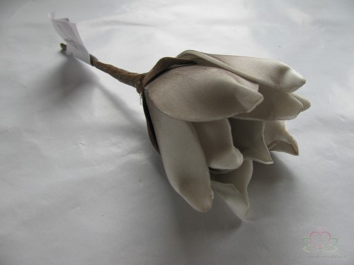 Magnolia foambloem Kort Taupe DOOS 12 stuks 
