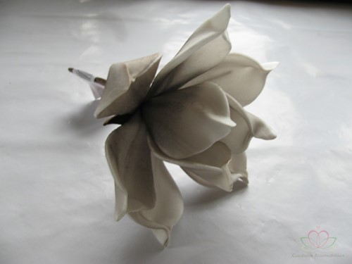 Magnolia foambloem Kort Taupe DOOS 12 stuks 