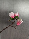 Magnolia TAK 65 cm Pinkroze / stuk Mooie kunst bloesemtak