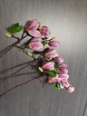 Magnolia TAK 65 cm Purple / stuk Mooie kunst bloesemtak