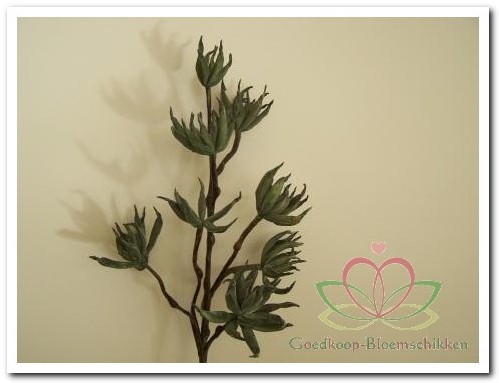 Magnolia x8 70cm Groen foam Bloemen