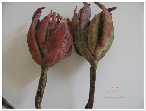 Magnolia x8 70cm Rusty +Groen foam Bloemen