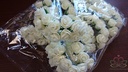 Mini foam roos 2,5 cm Roomwit/offwhite ca. 144st zak, voor corsage en bloemschikken