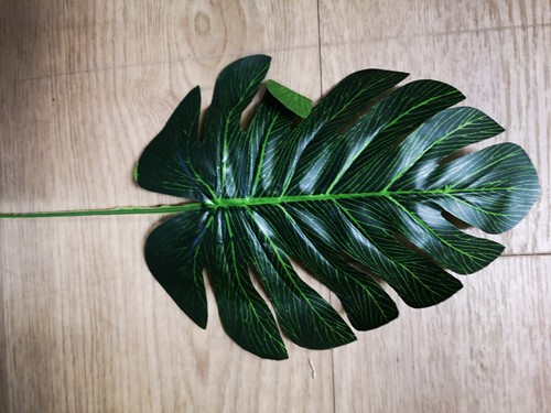 Monstera blad Monsterablad 17*40cm Pak ca. 10 Botanical stijl VT Wonen
