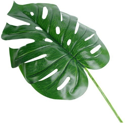 Monstera blad Monsterablad Groot 27*48cm /st - 27*48 Botanical stijl VT Wonen