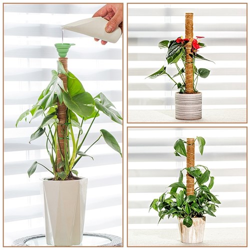 Mosstok Kokosstok Planten totem 50 cm / stuk Opbinden van planten