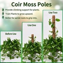 Mosstok Kokosstok Planten totem 50 cm / stuk Opbinden van planten