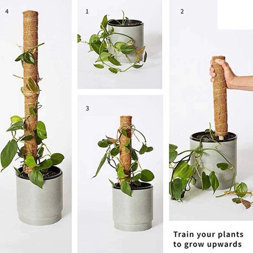 Mosstok Kokosstok Planten totems Set 50 + 30 cm Opbinden van planten