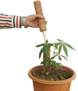 Mosstok Kokosstok Planten totems Set 50 + 30 cm Opbinden van planten