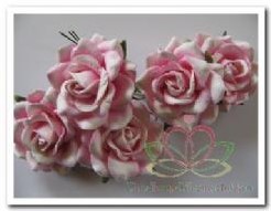 Mulberry roos Classic White + Pink Roses pack ca. 