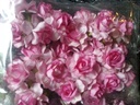 Mulberry roos Pink-Roze 2tone 5 cm /pak 