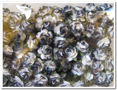 Mulberry roosje Black-White 2tone ca. 100 pakje 