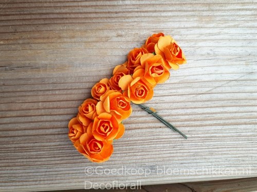 Mulberry Roosjes Oranje pak 144 