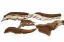 Mushroom,Funghi slices naturel bruin 200 gram 