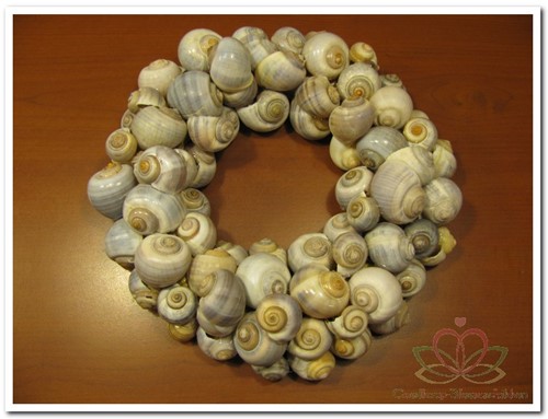 Nattai - Polinices Policinus schelpen ca. 500gr voor decoratie en kweekvisjes