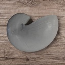 Nautilusschelp Resin wit  5x8x5 cm per stuk