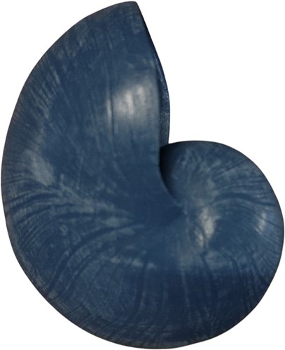 Nautilusschelp Resin blauw, 5x8x5 cm per stuk