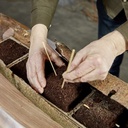 Oasis®  TerraBrick™ Floral Media  11,43x11,45x5 cm 8 pcs voor binnen en buiten,  volledig composteerbaar designmedia