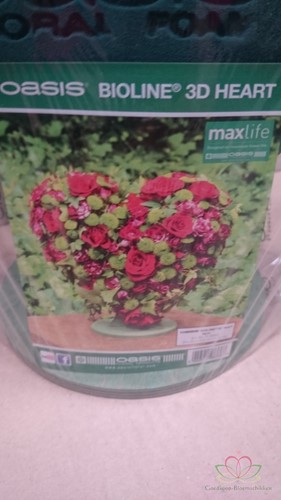 Oasis® 3D Hart oase voor verse bloemen Bioline