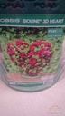 Oasis® 3D Hart oase voor verse bloemen Bioline