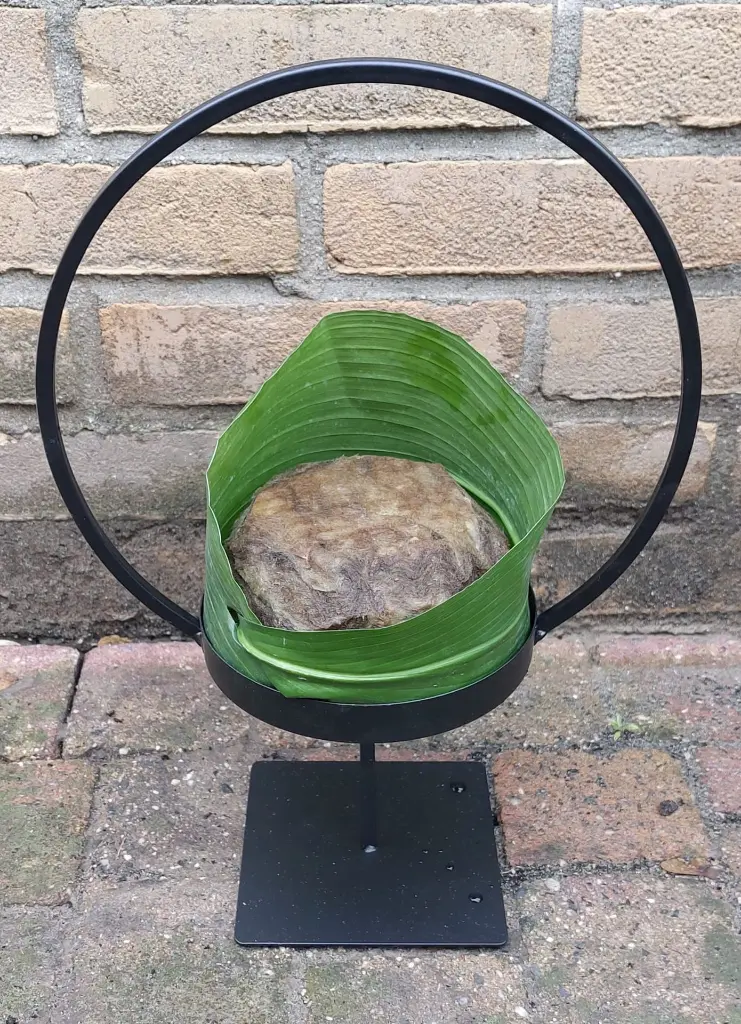 Janny Haasakkers-.webp