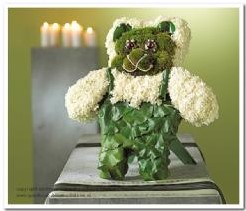 Oasis® Bear Bioline 48.5*42*5 cm oase voor verse bloemen Met staander Oasis® Beer van oase