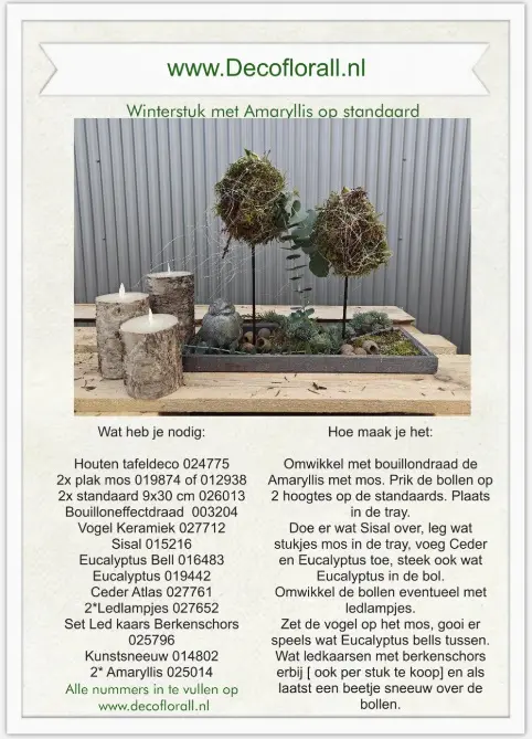 Winterstuk met Amaryllis op standaards.webp